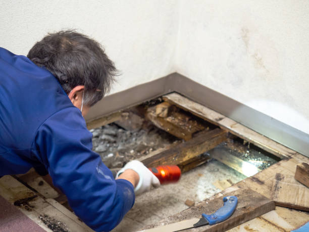 Best Toxic Mold Removal  in Seaside, OR