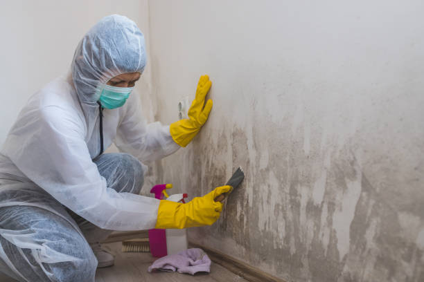 Best Commercial Mold Removal  in Seaside, OR