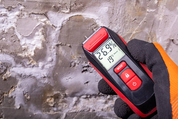 Best Mold Remediation  in Seaside, OR