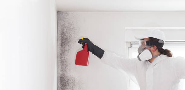Best Mold Removal Process  in Seaside, OR